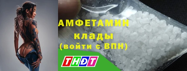сатива Рославль