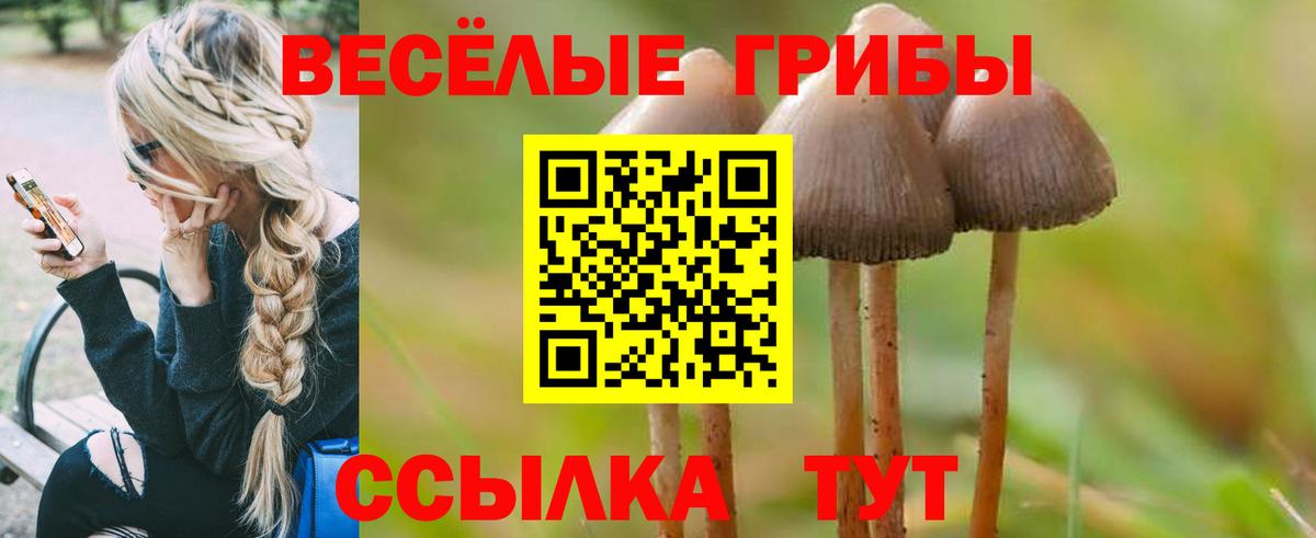 наркота  Псилоцибиновые грибы MAGIC MUSHROOMS  Вход с VPN  Усинск  Псилоцибиновые грибы мухоморы 